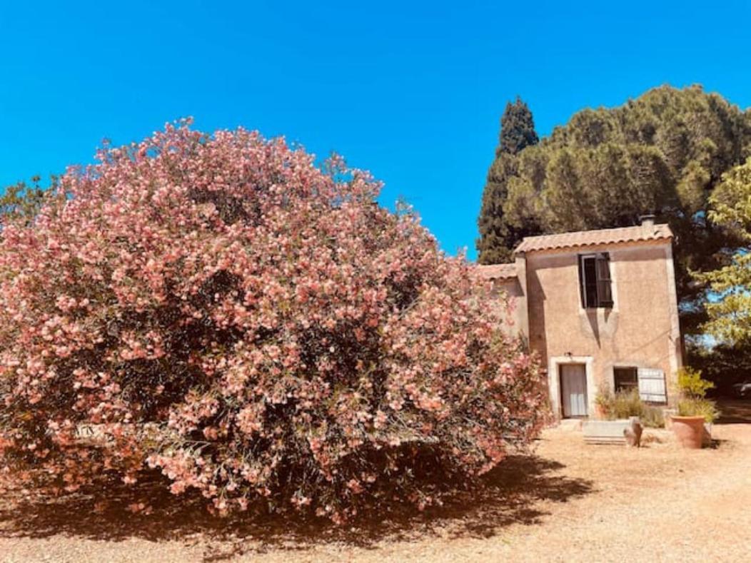 Casa Côté Sud - Mas Bois Fontaine Nîmes Exterior foto